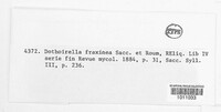 Dothiorella fraxinea image
